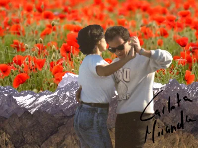 Amapolas y montañas