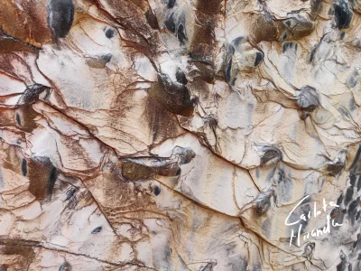 Serie Textures (1-3)